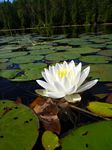 Petawawa River (Jul 2012) - B and S (2) - 152
